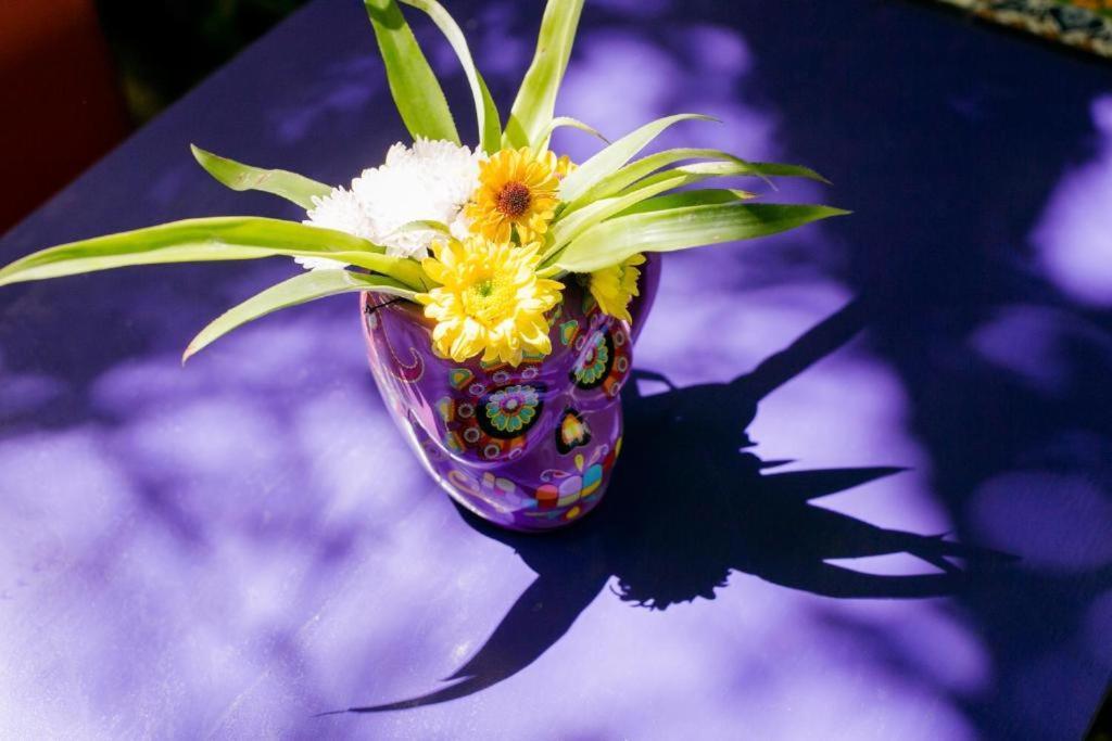"Vainilla B&B" - Stylish Comfort In Playa Del Carmen Ngoại thất bức ảnh