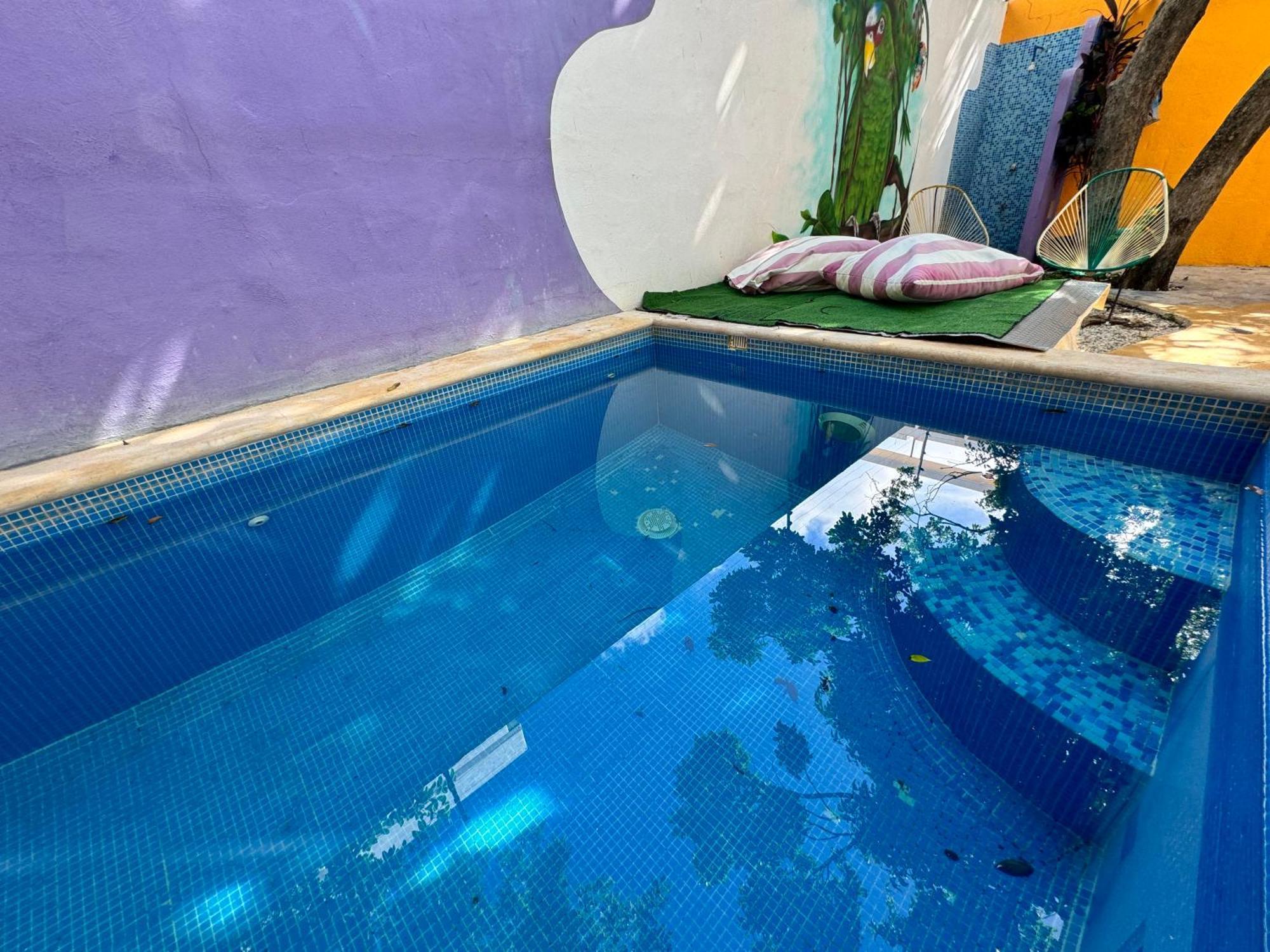 "Vainilla B&B" - Stylish Comfort In Playa Del Carmen Ngoại thất bức ảnh
