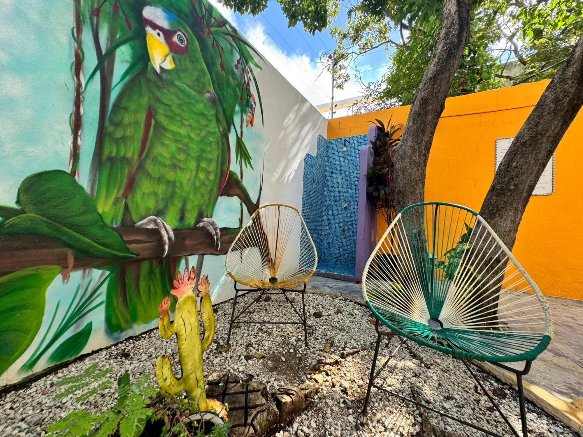 "Vainilla B&B" - Stylish Comfort In Playa Del Carmen Ngoại thất bức ảnh