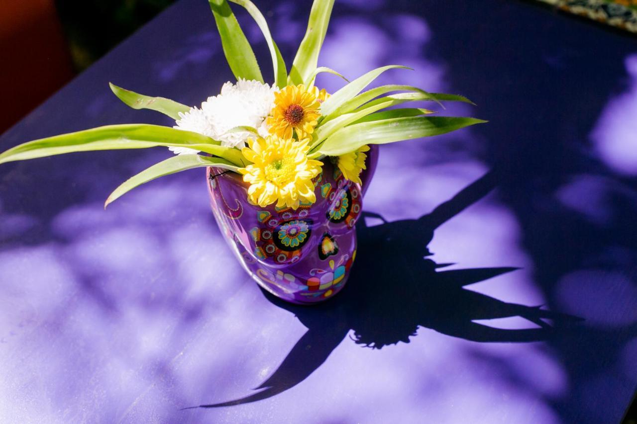 "Vainilla B&B" - Stylish Comfort In Playa Del Carmen Ngoại thất bức ảnh